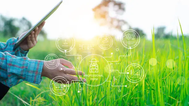 Supply Chain Management